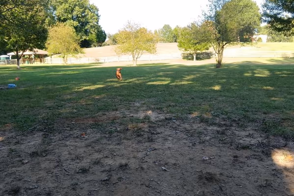 Stephen M. Hussey BarkPark at Country Park